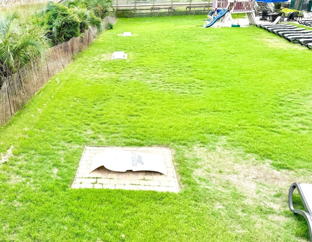 78396 308115 AzWQGs7 ljaI0aSKeYCzRO HuwUSqV0qtWXKVDZVrqE 67dc850cc9204.jpg