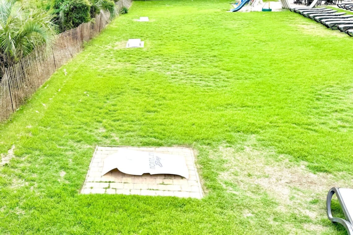 78396 308115 AzWQGs7 ljaI0aSKeYCzRO HuwUSqV0qtWXKVDZVrqE 67dc850cc9204.jpg