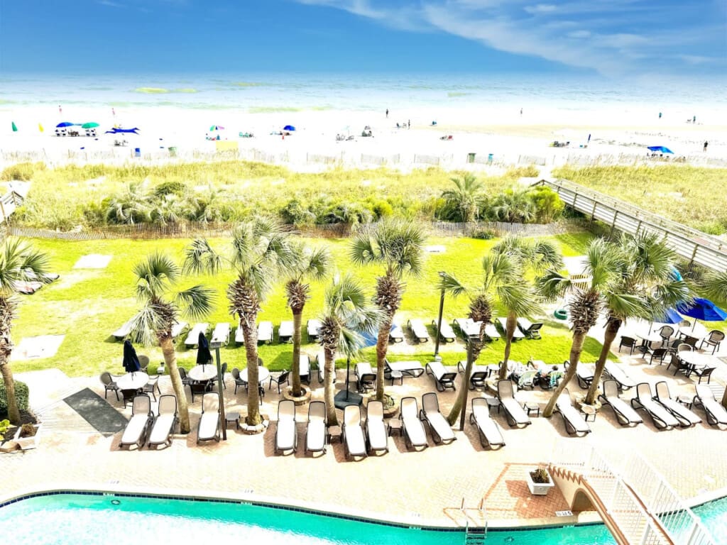 78396 308115 TPzd3emsYwzcSlaxqyLqn3pDSc8XwUzDt5g7bnHFlDo 67dc851bc1a81.jpg