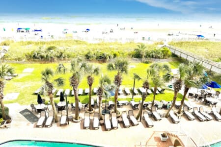 78396 308115 TPzd3emsYwzcSlaxqyLqn3pDSc8XwUzDt5g7bnHFlDo 67dc851bc1a81.jpg