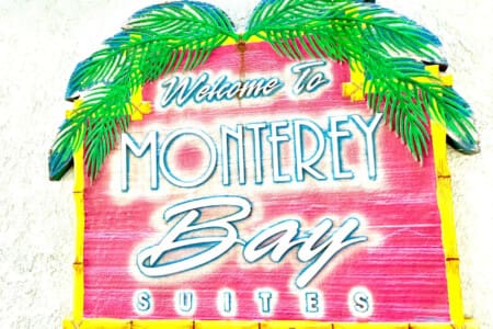 78396 308115 ZKTYMfNcQ7lEzaMB2wa7QXzhnfxpXOKlgdHnlHUt3y0 67dc85076f166.jpg