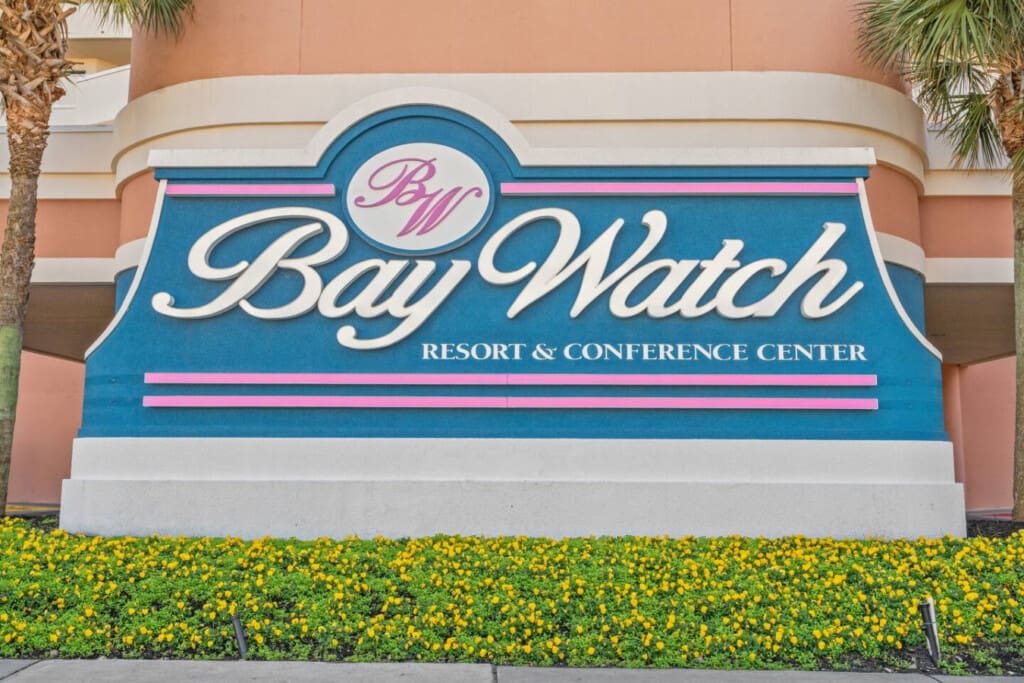 78396 366264 Ckq noiD rYGEtkXcsXDSasaaLeGOAEzlsGa1i CeVQ 68998ef1f41fa.jpg