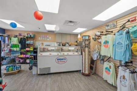 78396 366264 ULMS2oytjqZJ55GIlkaQ5srZWwcjySImdc JFRhAhCo 68998ee5dff0e.jpg