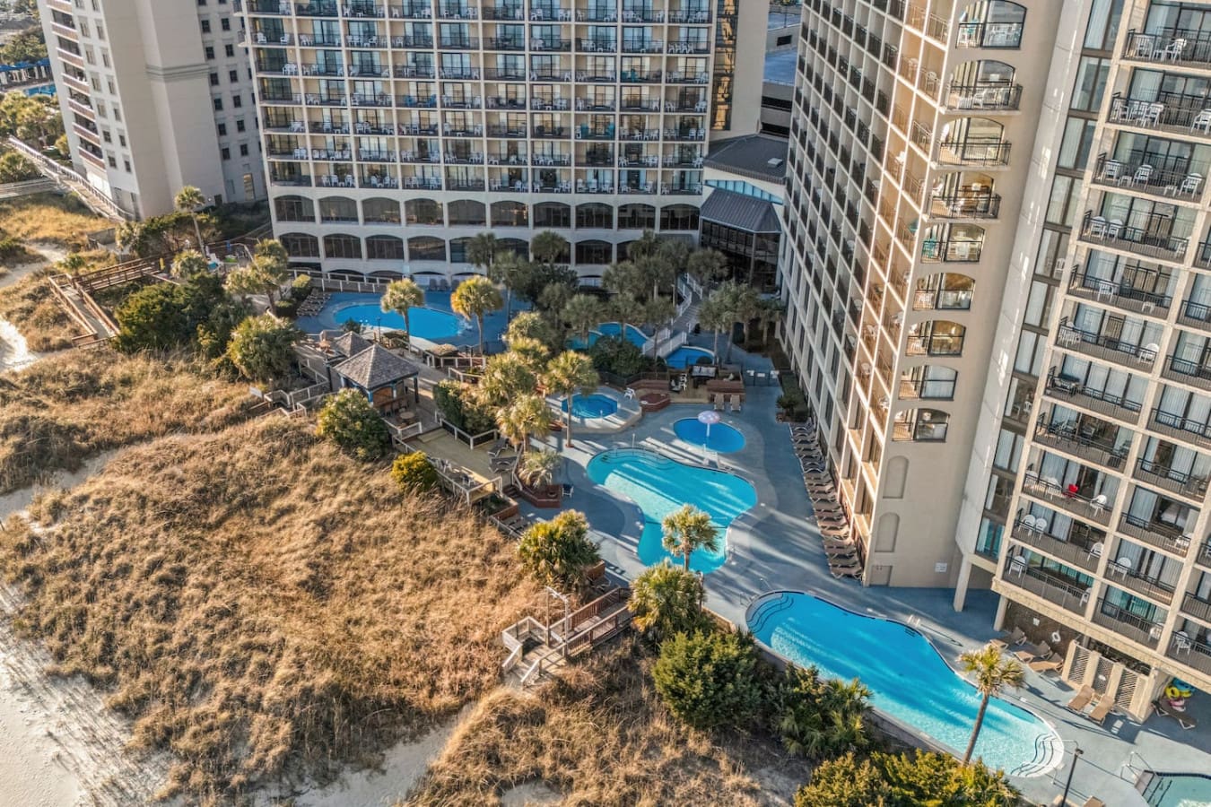 78396 373085 p9Ou1AWGXwb7Nh8qTZGB773IpUlJ4A J6qXv7lx f58 67dc864909250.jpg