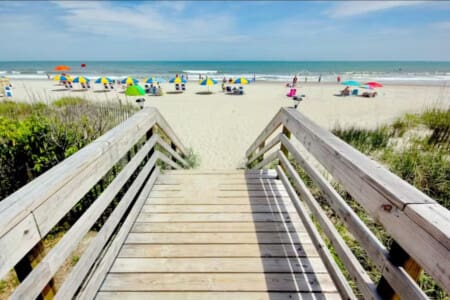 78396 373782 qWUDxxjNWBUT21zmAqDJ7UWxWSQPI17HQve3nI1L8bg 67e40187972c7.jpg