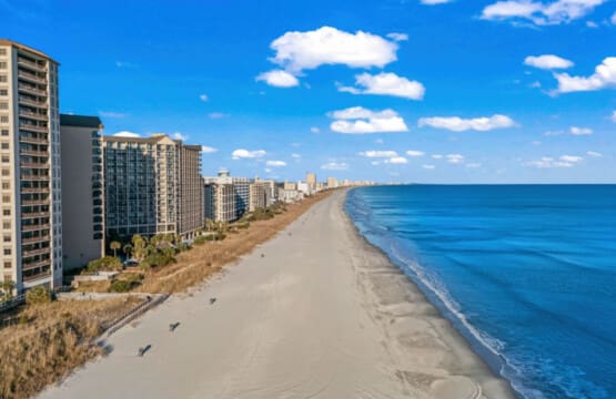 78396 375968 6TSA13bRckrnONnuS2Fwanp7uaWmZtjym4ld2Jk Lsw 68b70320016e9.jpg