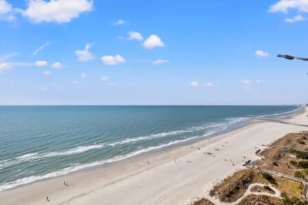 78396 375968 gqYyZwHEhcN60k9 RIyWzY0un2F5P5CSj U3wdosmxI 68b7258fb440f.jpg