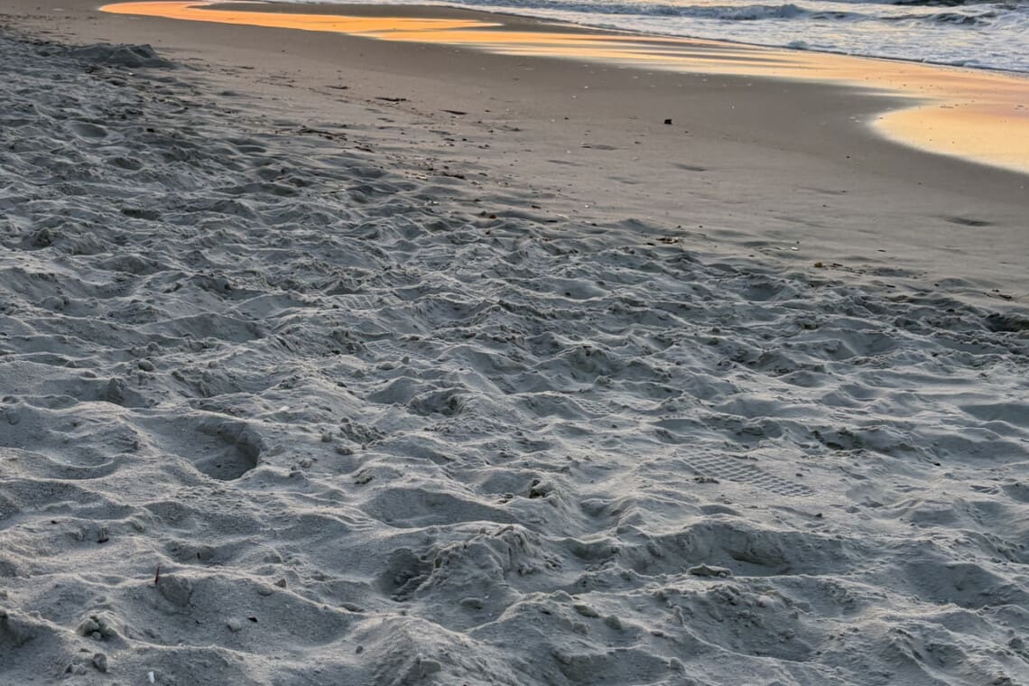 78396 378752 wp1sqlN0YOVOJUGhjdkxXDUkEJYhUzKp9Fyv4pZGcgs 67f923a19b5d4.jpg