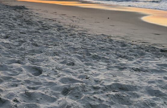 78396 378752 wp1sqlN0YOVOJUGhjdkxXDUkEJYhUzKp9Fyv4pZGcgs 67f923a19b5d4.jpg