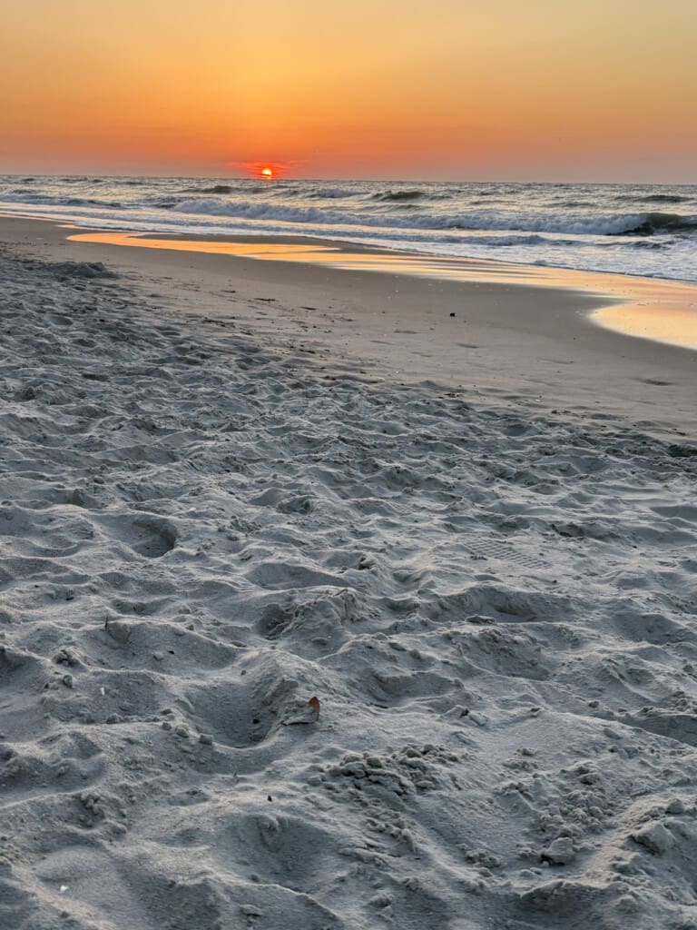 78396 378752 wp1sqlN0YOVOJUGhjdkxXDUkEJYhUzKp9Fyv4pZGcgs 67f923a19b5d4.jpg