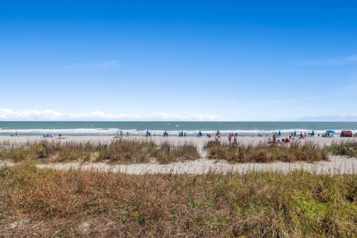 78396 380726 L5nk7sSAyxlkgtCAYDTSnsTPu6LrgJyAqs0FcBLHtqw 67f80b6d47e97.jpg