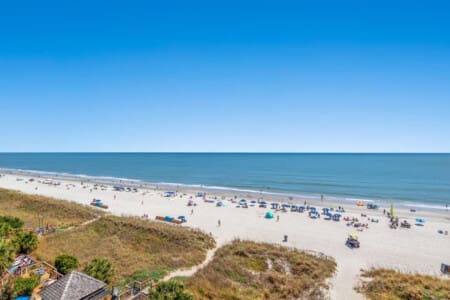 78396 382896 wZEniG3w8S7tIvr8PHAWpVJe8YQyn759t86nUPtTmt4 6801a02426b69.jpg