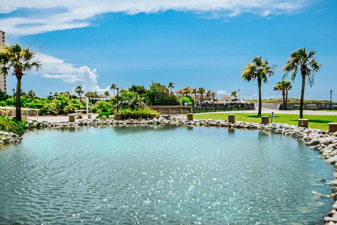 78396 387532 NGJCDBxjR3sU xsS1g2bBK9wx7xbCMfswngHhB5Y5zE 6840f399ebacd.jpg