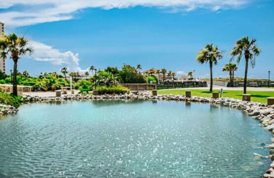 78396 387532 NGJCDBxjR3sU xsS1g2bBK9wx7xbCMfswngHhB5Y5zE 6840f399ebacd.jpg