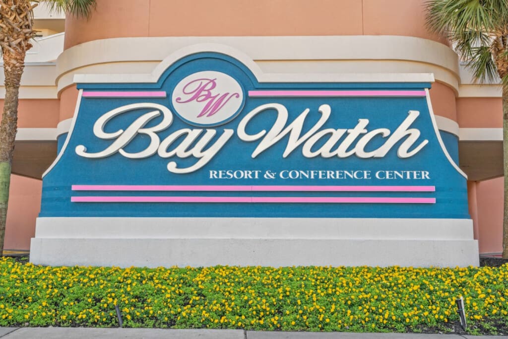 78396 422776 Q29cJJLR99oPktU2uOAu RF13nWNciuNkGYpHARQKNQ 68a218c36c2fd.jpg