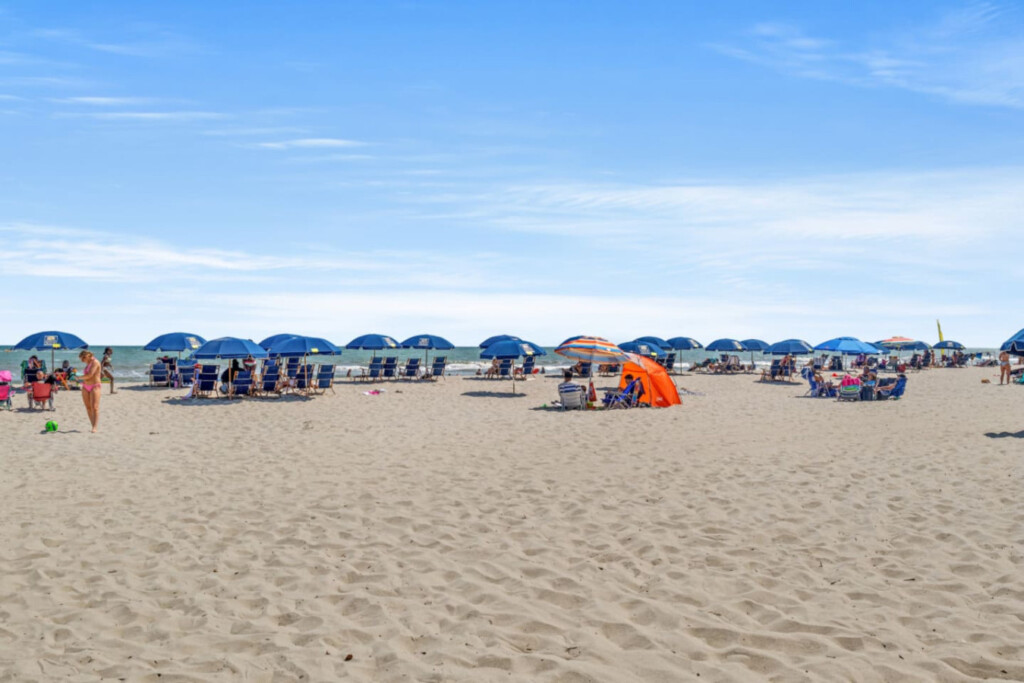 78396 222611 q5ovAMxEakpFQjU1DKzXcVBTjZxMXsJwVmwpxl EIlI 6805ed618b051.jpg