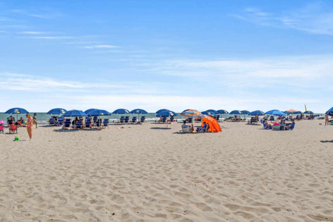 78396 222611 q5ovAMxEakpFQjU1DKzXcVBTjZxMXsJwVmwpxl EIlI 6805ed618b051.jpg