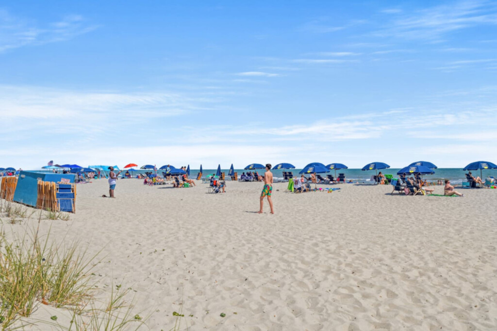 78396 222611 wm8Pu6 zr x 8eScbbtrYlDV 37vSowe3Gz05IMD OI 6805ed6272b04.jpg