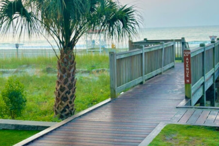 78396 222690 Bnffsp aqTUKR8m5I9QLTCjq39q6y95iWSUR5iHcNhE 68707ed27a4ff.jpg