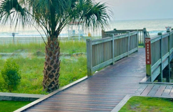 78396 222690 Bnffsp aqTUKR8m5I9QLTCjq39q6y95iWSUR5iHcNhE 68707ed27a4ff.jpg