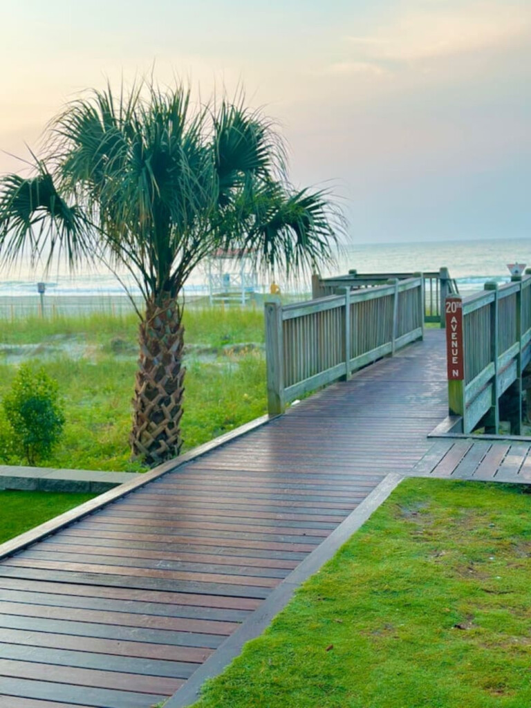 78396 222690 Bnffsp aqTUKR8m5I9QLTCjq39q6y95iWSUR5iHcNhE 68707ed27a4ff.jpg