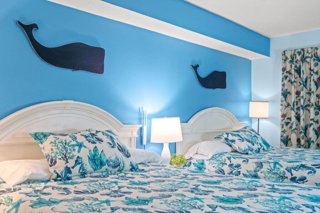 78396 222690 pAOXUMjT3skAWp2Q69FRaKKvZT5yQKHNFe0 3lvND9M 68704a379ad69.jpg