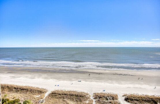 78396 222690 qKFlb0t3zUiIsgLnzh3sgnkTDTQ4OetKTcP8L5Pnbnk 68704a48bb8da.jpg