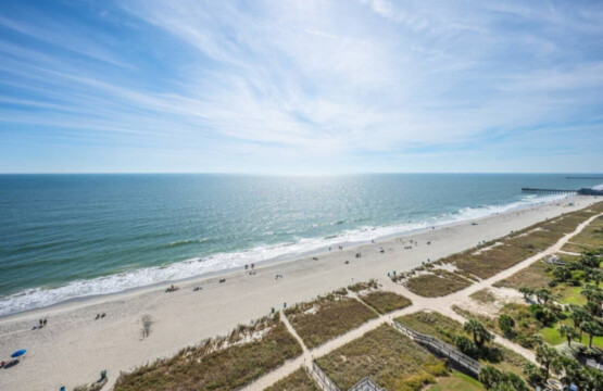 78396 222710 wpW4RElDe8S8XU231Nt9rZYCYdLPOUqVCz51QlhLib8 67dca0f617563.jpg