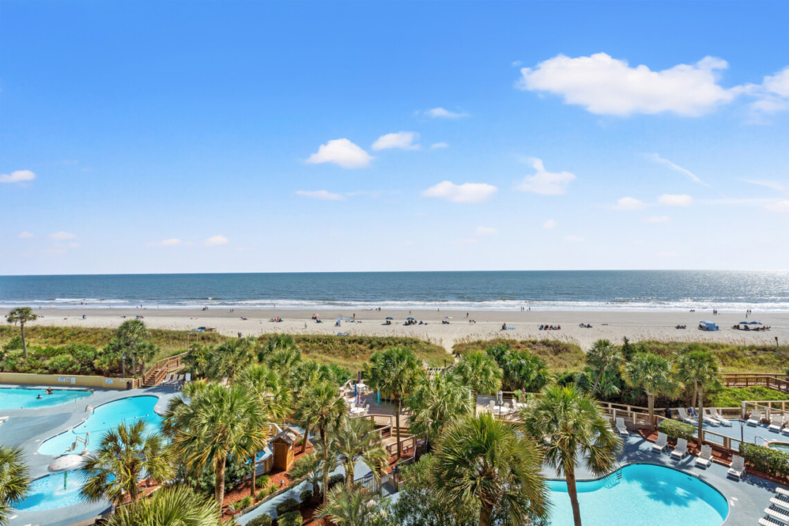 78396 356935 NnqfwBEFxn3wzXW6rLYYKV5CW888cq8e5QtmG0atzoY 68fa71b41a2fa.jpg