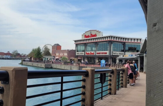 78396 446348 ALP9 aUSbJZim7VKPt2MHe5LMjUFGcZsHVcew70Scxs 68fc30663b596.jpg