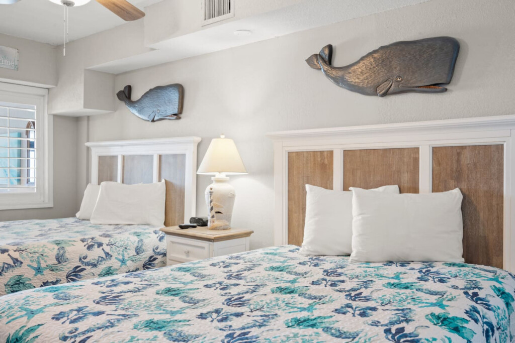 78396 446573 NVJZhrnW QgiZ3O8avqUz7INTQ7Mvb73oErx4DHczrI 68fee70d7c299.jpg