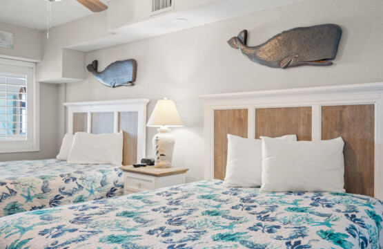 78396 446573 NVJZhrnW QgiZ3O8avqUz7INTQ7Mvb73oErx4DHczrI 68fee70d7c299.jpg