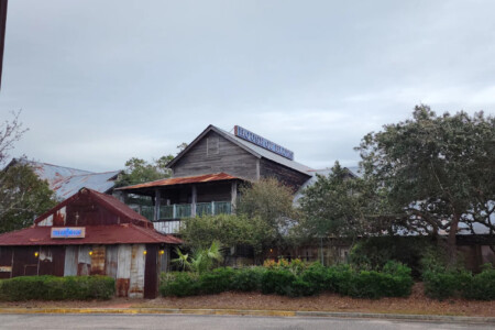 78396 446573 VK3qLgVyAGuY2pOHdgszUPOcT72L9Oa5Sdg0DJtiRcA 68fedeff61dec.jpg