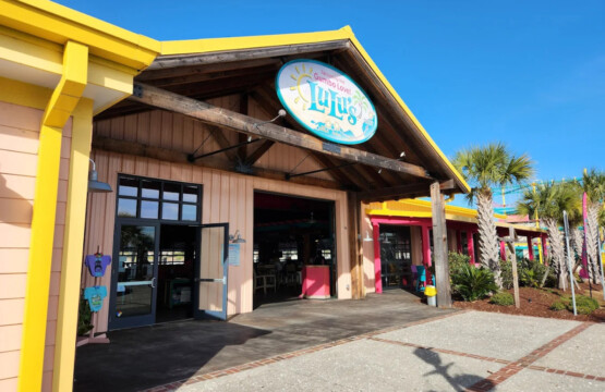 78396 446573 pB4OkKmUdyTaEJSiqkaQTzsgmk0EJ6 sBemMOGczTkw 68fedee5158b1.jpg