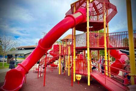 db2f670b 9eaf 44d4 bfe8 045533729fae.jpeg.jpg