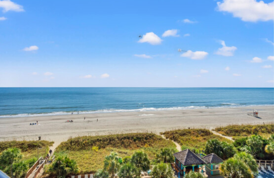 78396 448824 YsSig8tB5M5gNq3SC Z2kdmY0aVO 8XCHqy qndue98 6907b20ad2e0f.jpg