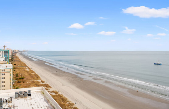 78396 462548 vh9vGTvcn11i5j1pGh7kz7W4QGS5gDhXGr81ZxLqxF4 6934764739c54.jpg