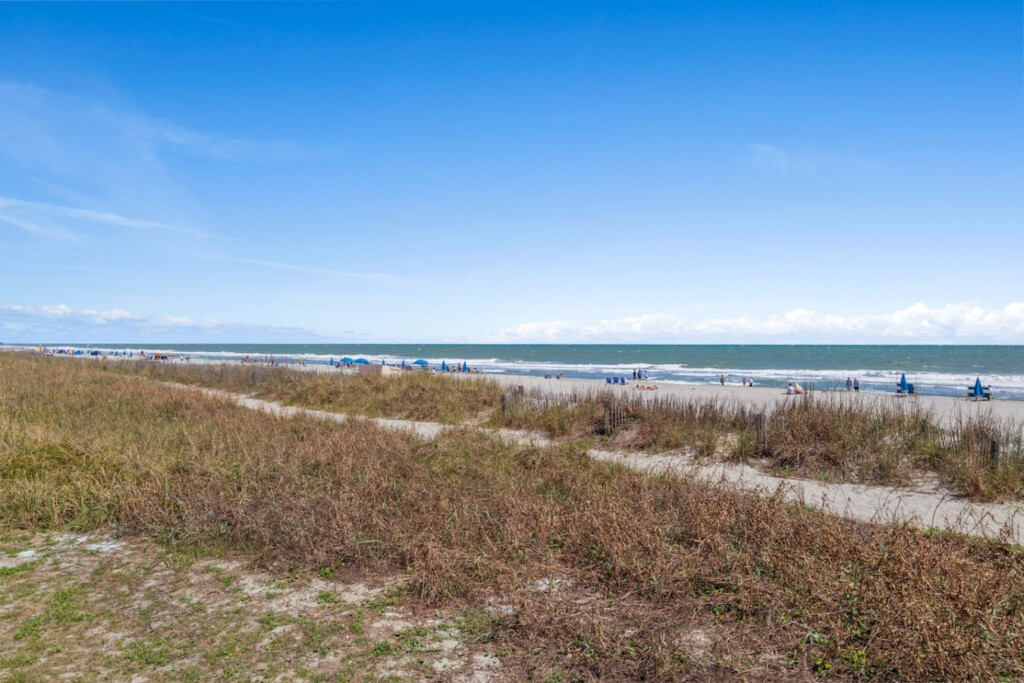 78396 465141 6CrrxU330Nl8xk4V60M5n7nunTtHhibwvPOqIinM52Y 693b960a3e1e0.jpg