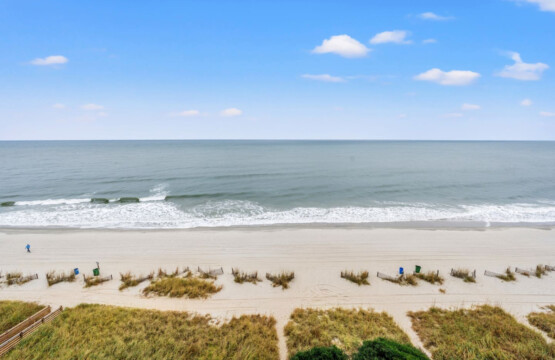 78396 465141 LFg82qgFMDEBx4vsGegm cfwOKcLJgtaO5b1m0ylrgg 693baa7a47ed6.jpg